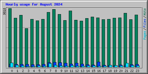 Hourly usage for August 2024